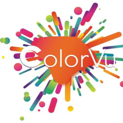 CAMARA HiLOOK COLORVU LITE 4 EN 1 2MP