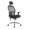 Silla Presidencial Novo Paler