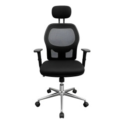 Silla Presidencial Novo Paler