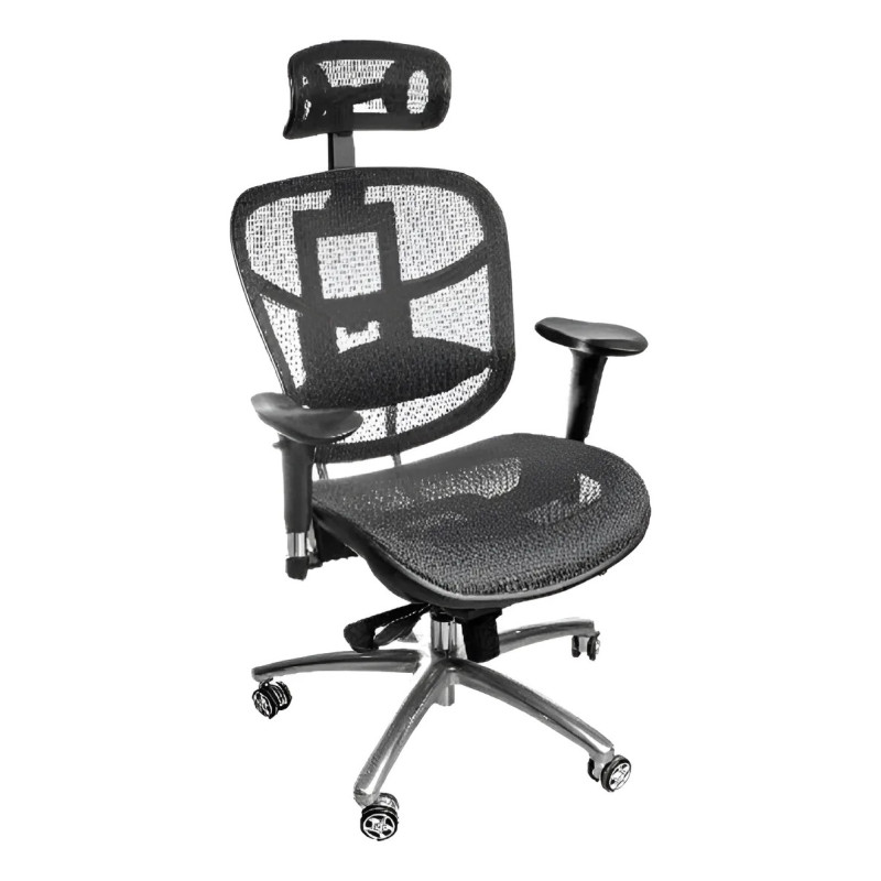 Silla Presidencia Novo Ferrara